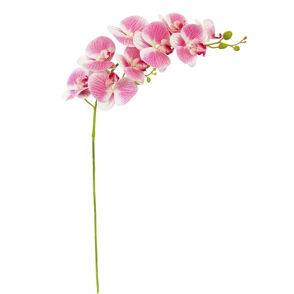 Set of 2 Natural Touch Artificial Phalaenopsis Orchid Flower Stem Tropical Spray 38.5in