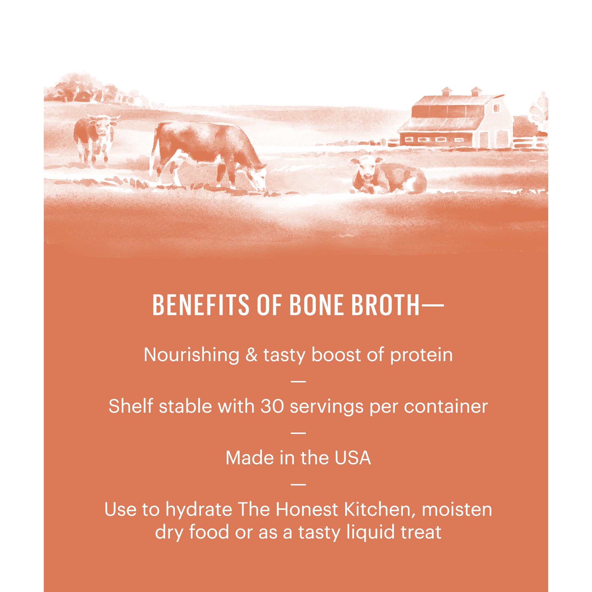 The Honest Kitchen Daily Boosts: Instant Beef Bone Broth with Turmeric Wet Dog Food， 3.6 oz.