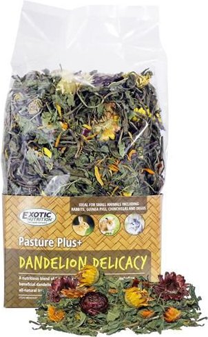 Exotic Nutrition Pasture Plus+ Dandelion Delicacy Rabbit Treats， 6-oz box