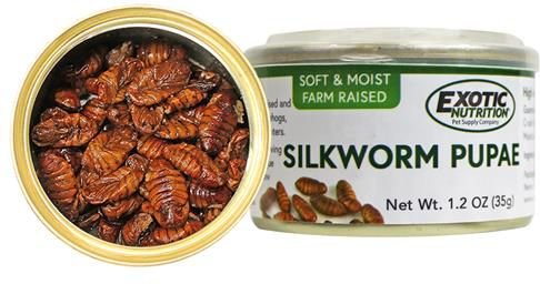 Exotic Nutrition Silkworm Pupae Hedgehog Treats， 1.2-oz can