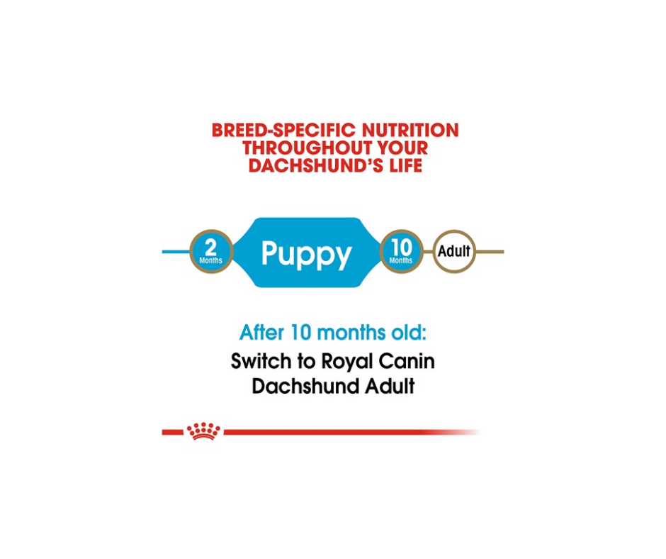 Royal Canin - Dachshund Puppy Dry Dog Food