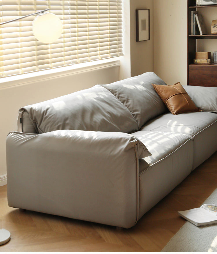 Technology Cloth Sofa   Transitional   Sofas   by GVAwood  Houzz