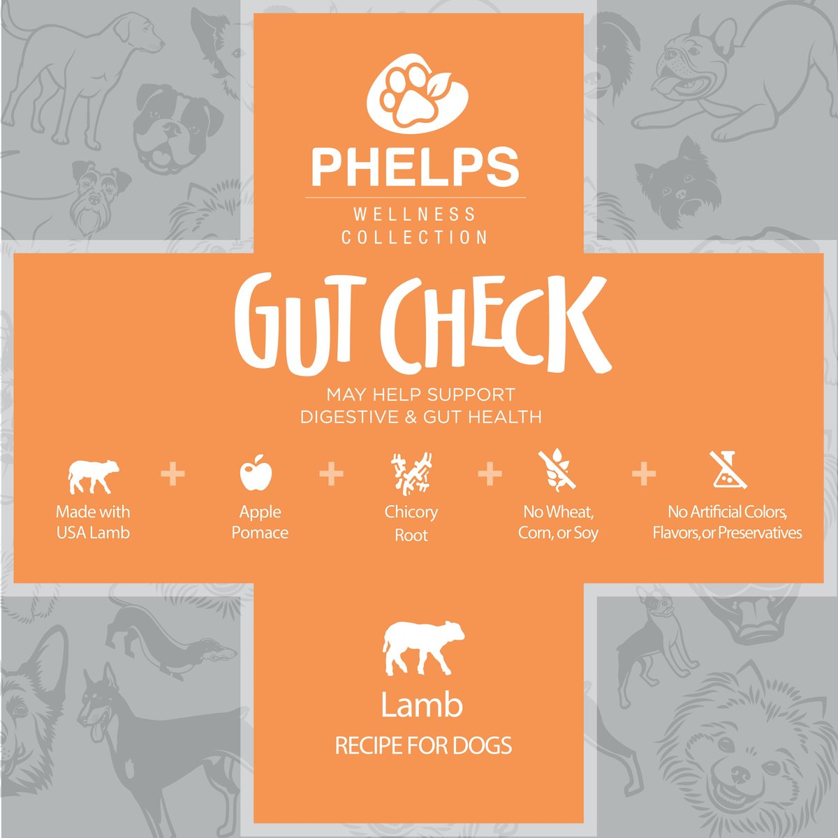 Phelps Wellness Collection Gut Check Lamb Recipe Dog Treats， 4-oz bag