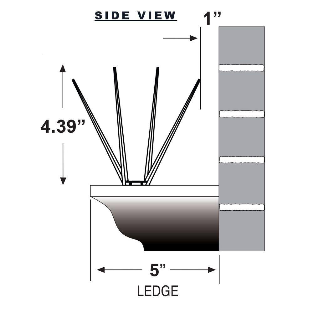 Bird B Gone Enviro Spike 10 ft. x 5 in. Plastic Bird Spikes 100521839