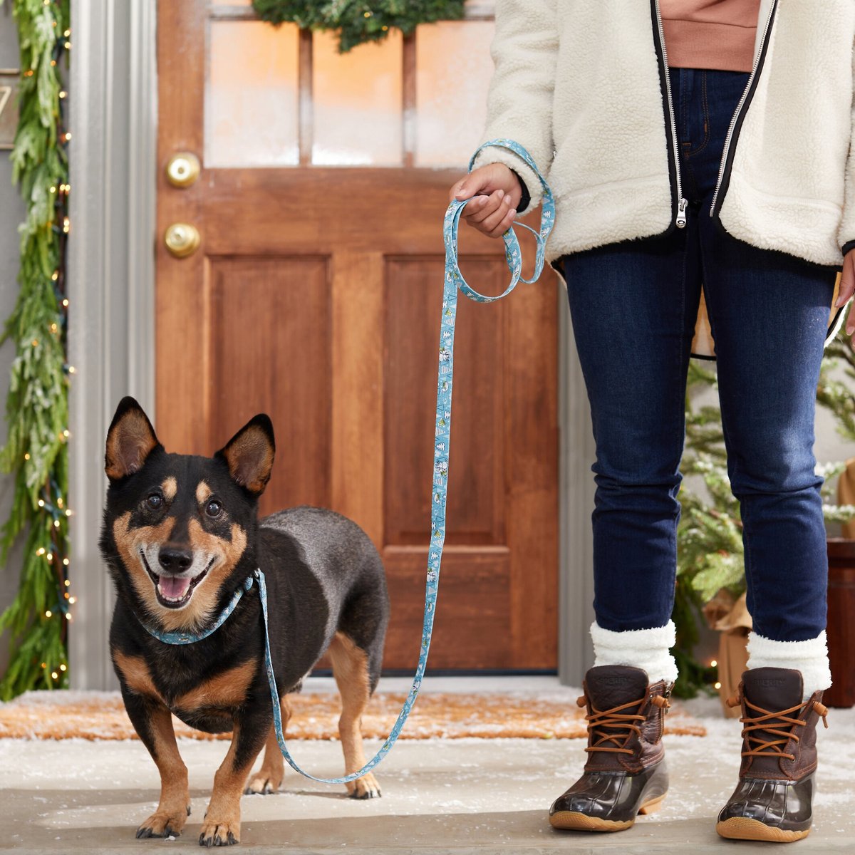 STAR WARS THE MANDALORIAN GROGU Snowman Dog Leash