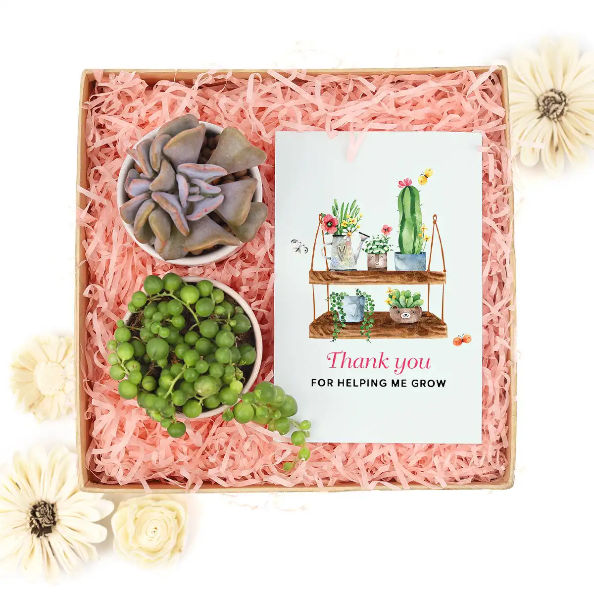 Unique And Beautiful Aesthetics Gift Boxes For Small Business Succulent Plants Candles Christmas Decoration Supplies