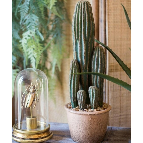 RusticReach Artificial Cactus in Brown Pot