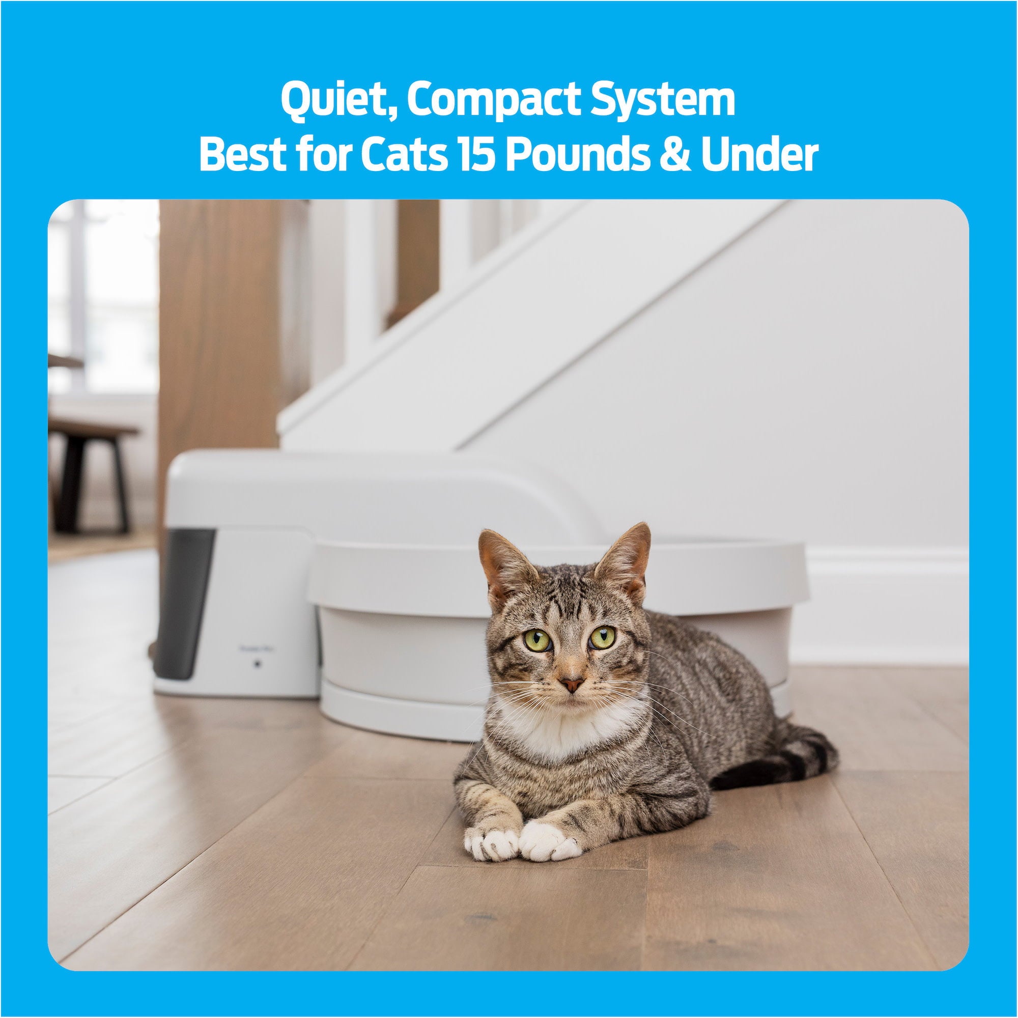 Premier Pet Auto-Clean Litter Box System: Self-Cleaning Litter System， No More Scooping， Auto-Cleans Every 30 Minutes， Superior Odor Control， Works with Any Clumping Clay Litter