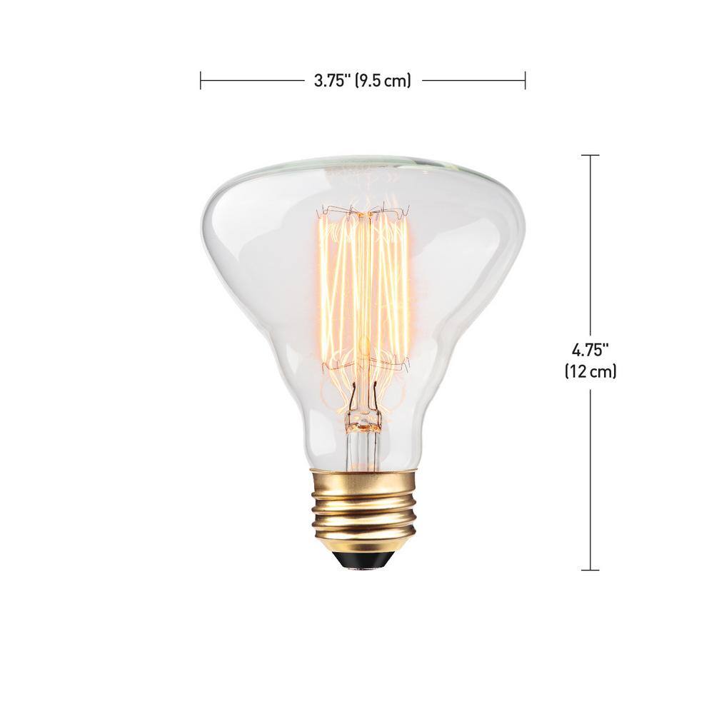 Globe Electric 40 Watt Labo Shape Dimmable Cage Filament Vintage Edison Incandescent Light Bulb Soft White Light 84654