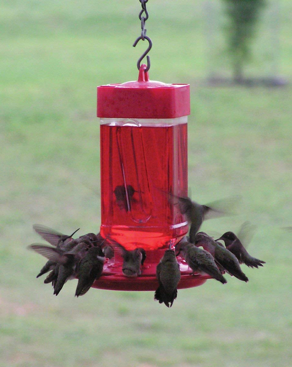 First Nature 32 oz. Hummingbird Feeder