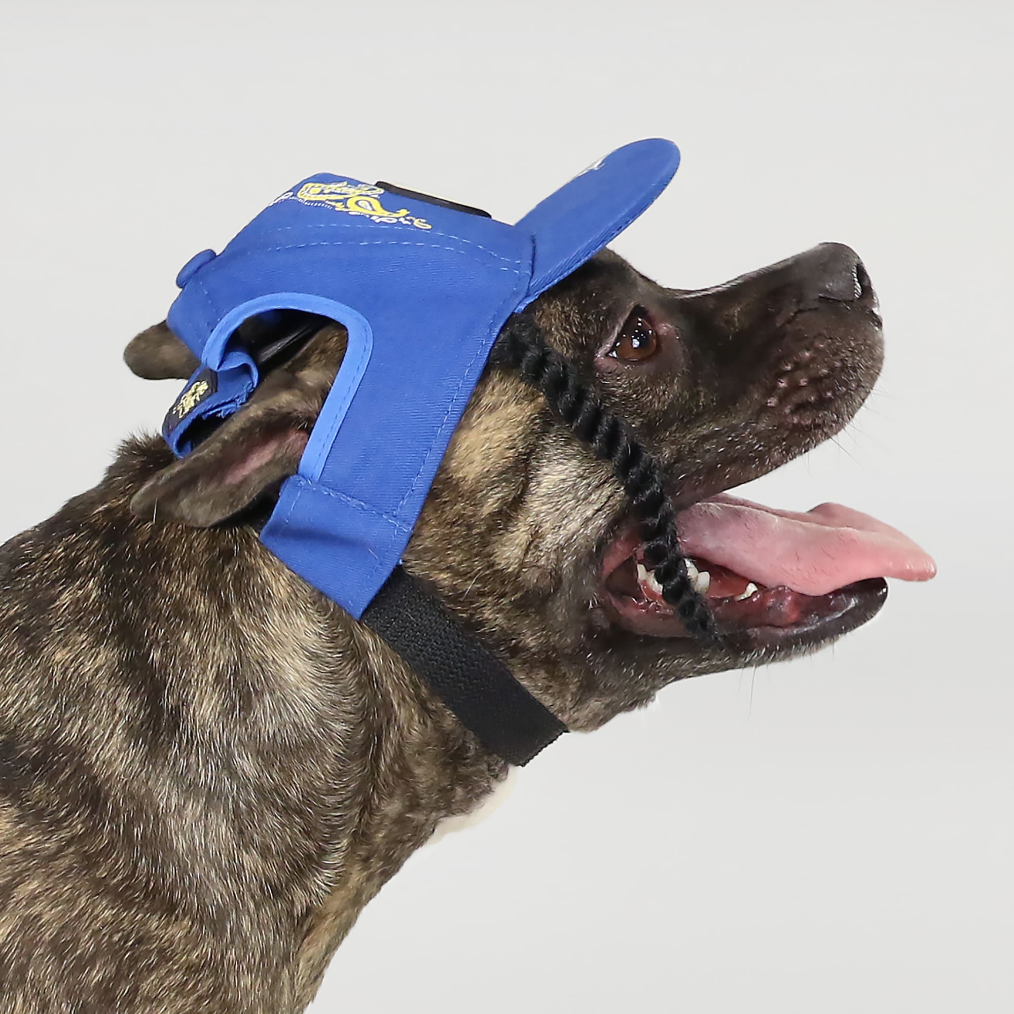 Snoop Doggie Doggs Blue Halftime Deluxe Pet Baseball Hat， X-Small