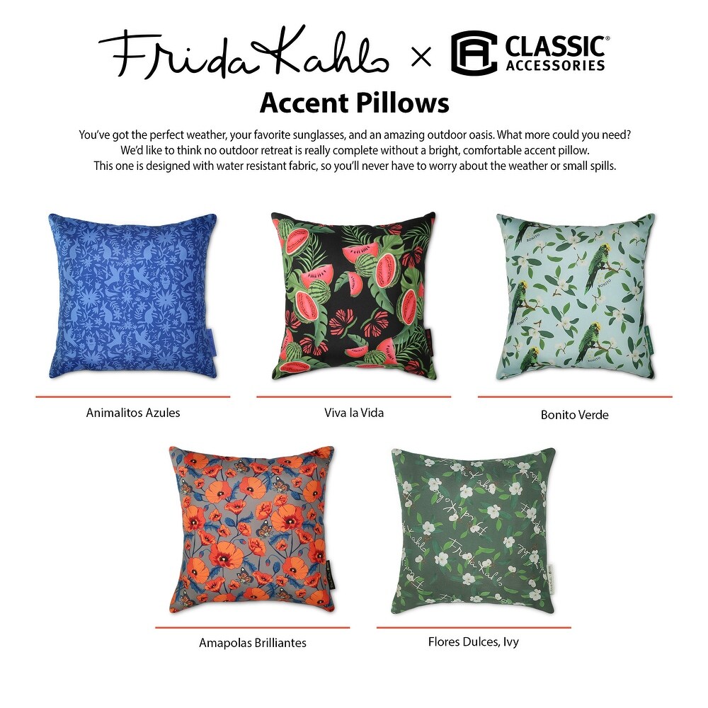 Frida Kahlo + Classic Accessories Accent Pillows  2 Pack  18 Inch