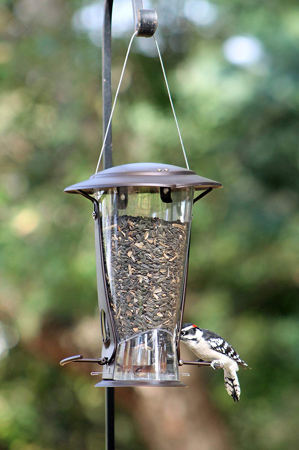 More Birds X-2 Squirrel-Proof Bird Feeder - 4# Seed Capacity and Two Feeding Ports