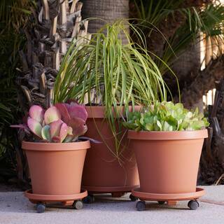 Bloem Caddy Round 14 in. Terra Cotta Plastic Plant Stand Caddy with Wheels 95124C