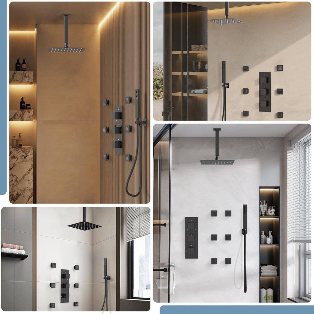 CRANACH 5-Spray Patterns Shower Faucet Set 12 in. Ceiling Mount Dual Shower Heads 2.5 GPM with 6-Jets in Matte Black SRSFS1004-BK12