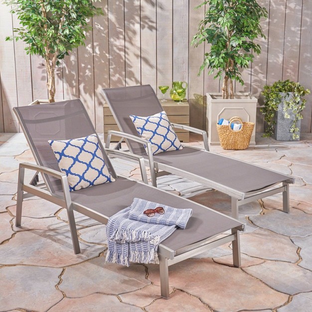 Oxton 2pk Mesh Patio Chaise Lounge Gray Christopher Knight Home