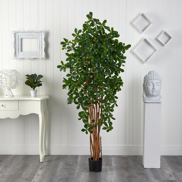 6foot Black Olive Silk Tree