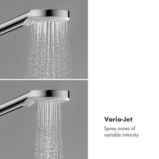 Hansgrohe 2-Spray Patterns 3.9 in. Single Wall Mount Handheld Handheld Shower Head in Brushed Nickel 26332821