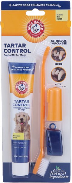 Arm and Hammer Tartar Control Banana Mint Flavored Enzymatic Dog Dental Kit