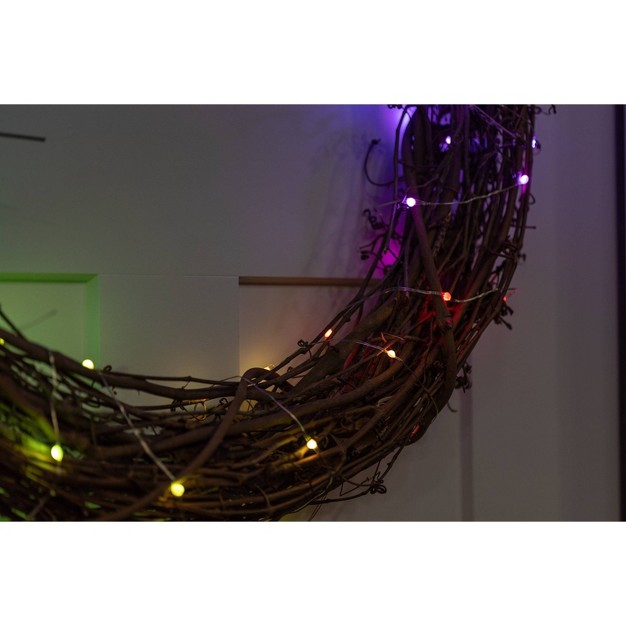 20 x27 Wi fi String Fairy Lights Red green blue Enbrighten