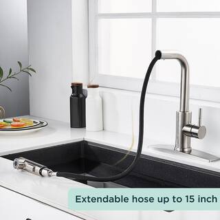 FORIOUS Single-Handle Kitchen Sink Faucet with Pull Down Sprayer Kitchen Faucet in Brushed Nickel HH0025BN