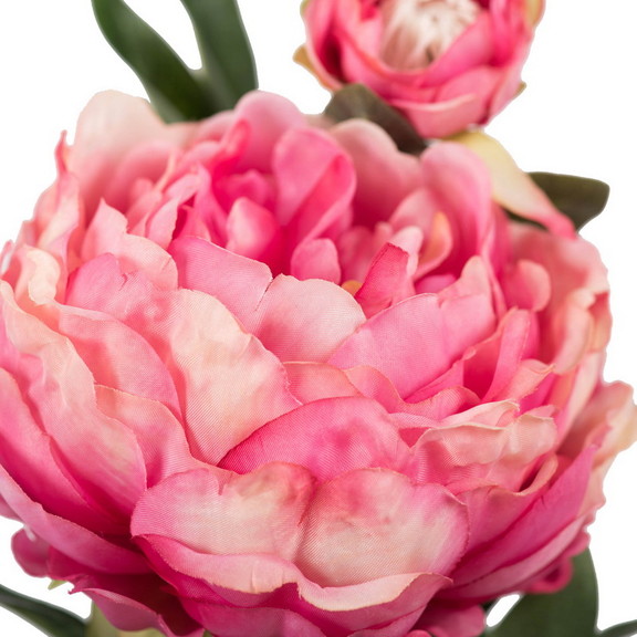 Vickerman 24 Peony W/2 Blooms 3/pk