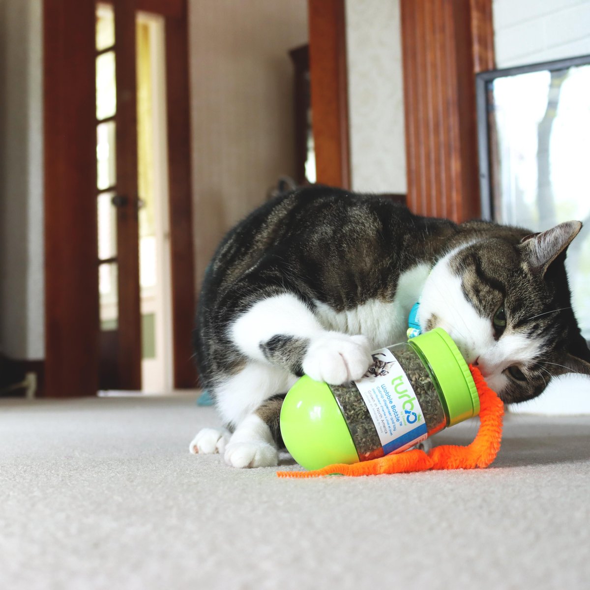 Turbo Wobble Bottle Cat Toy with Catnip