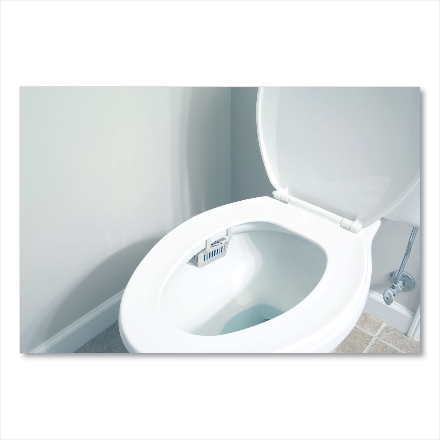 Non-Para Toilet Bowl Block by Big D Industries BGD661