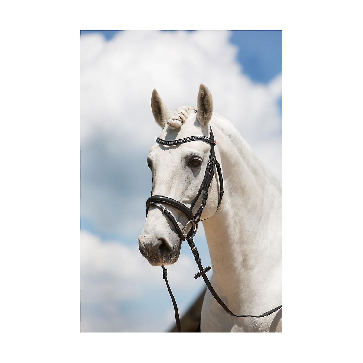 Kieffer Ultrasoft Fashion Snaffle Bridle