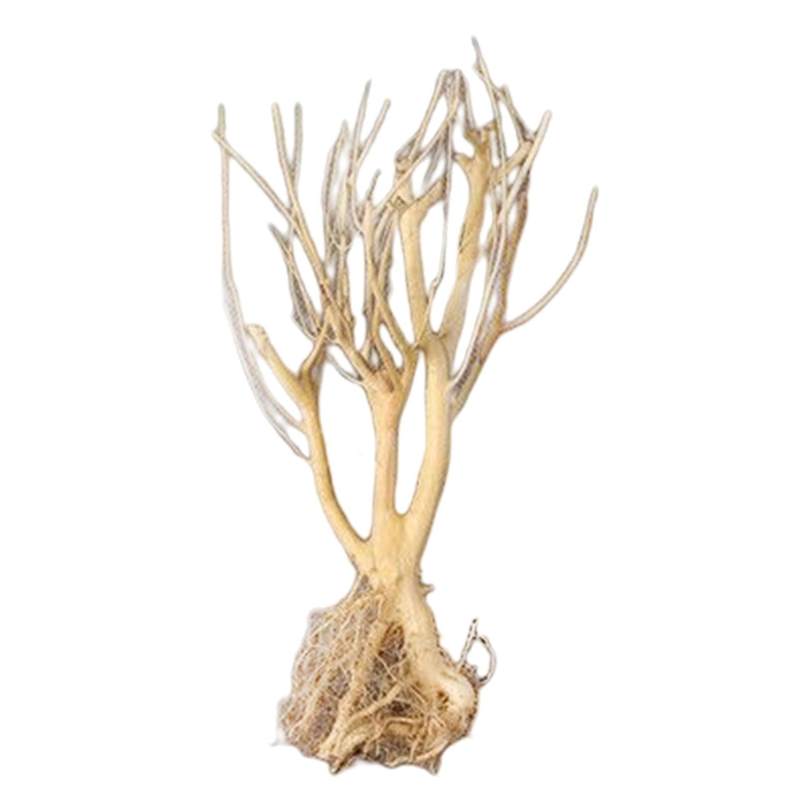 Aquatic Aquarium Driftwood Trunk Tree Plant Stump Fish Tank Ornament Wood Branches Landscaping Decoration Habitat Decor 25-30CM