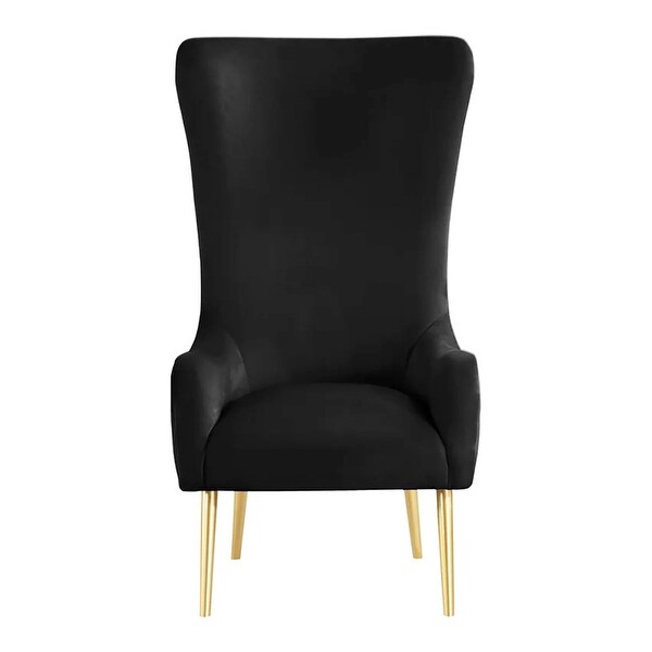 Best Master Furniture Kireth Velvet Upholstered High Back Accent Chair with Gold Legs