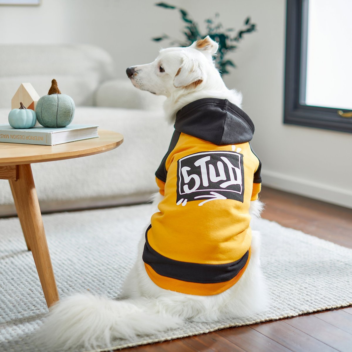 Frisco Stud Dog and Cat Hoodie