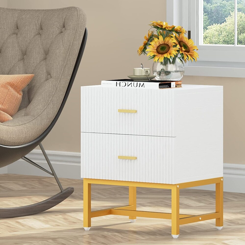 Nightstand 2 Drawer  Bed Side Table with Storage Cabinet End Table