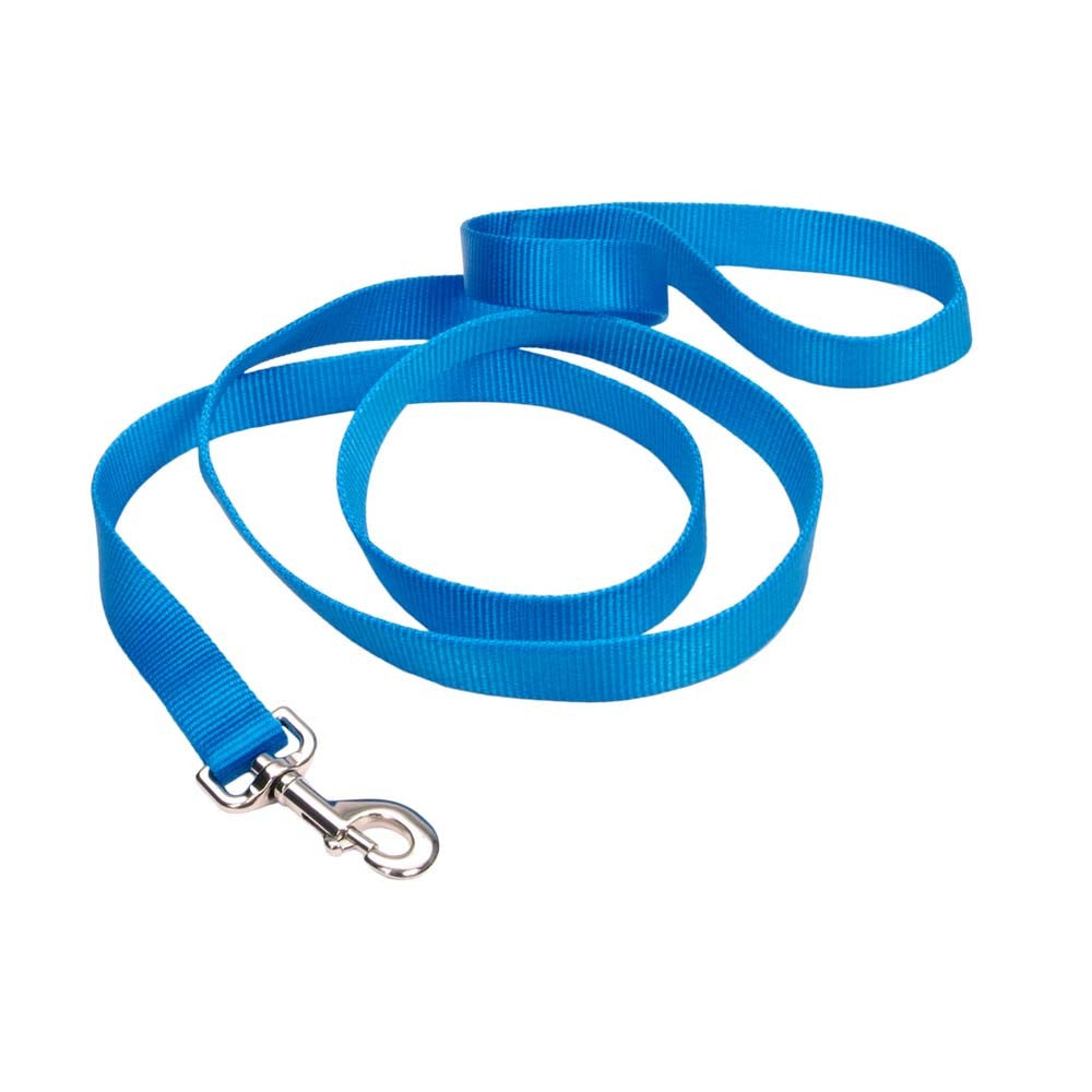 Coastal Nylon Blue Dog Leash