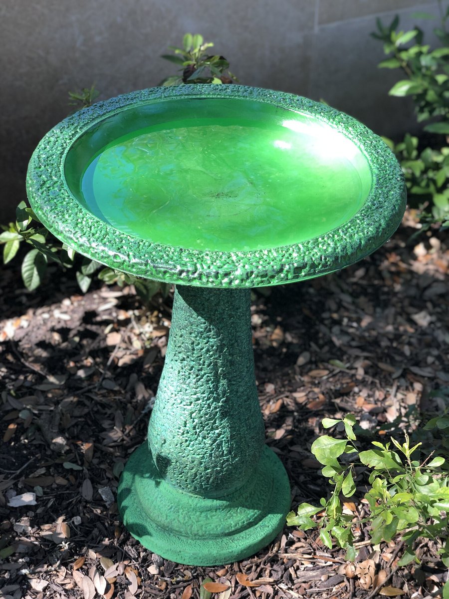 Exaco Bird Bath， 1.3-gal