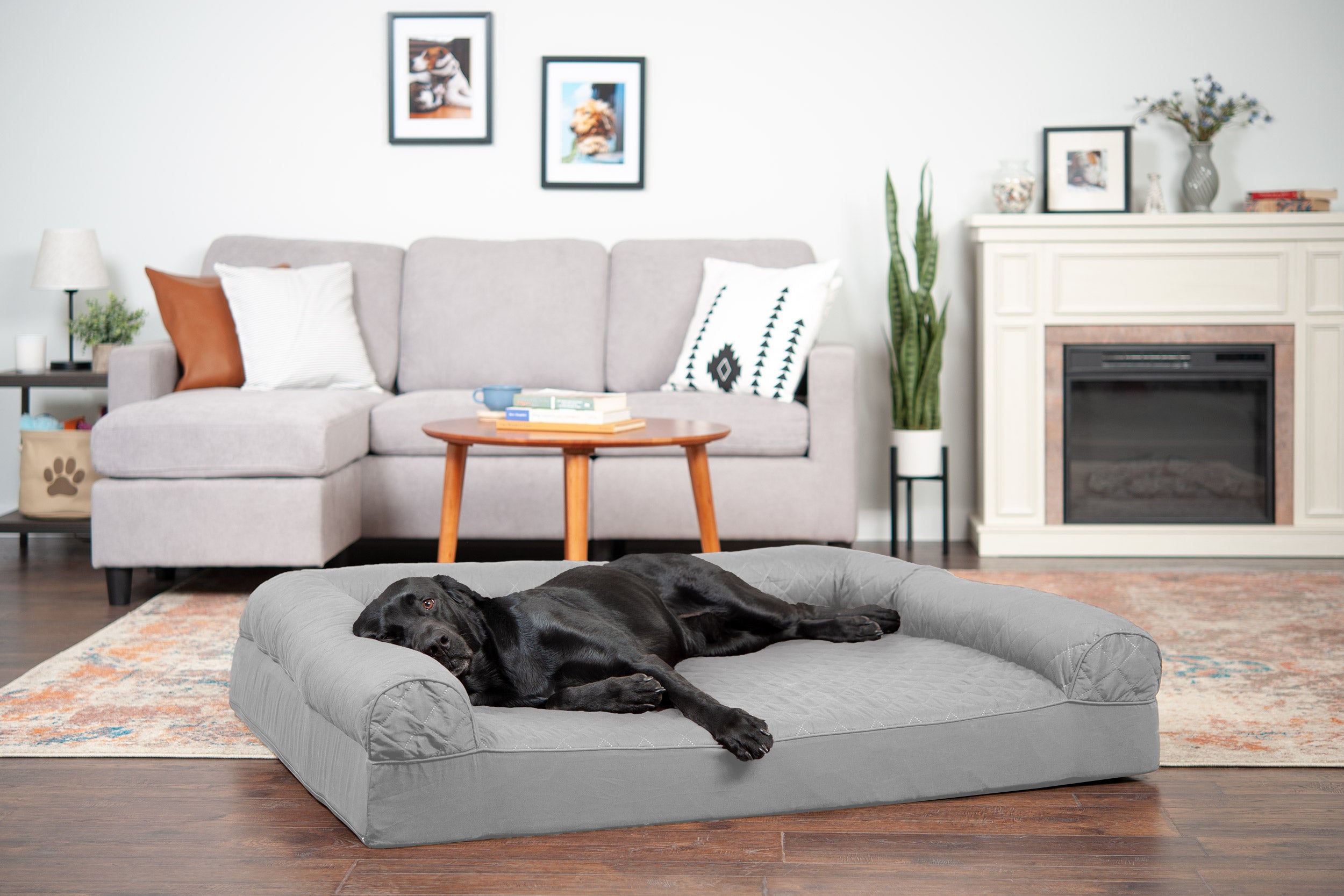 FurHaven Pet Bed Quilted Sofa-Style Couch Pet Bed Dogs & Cats