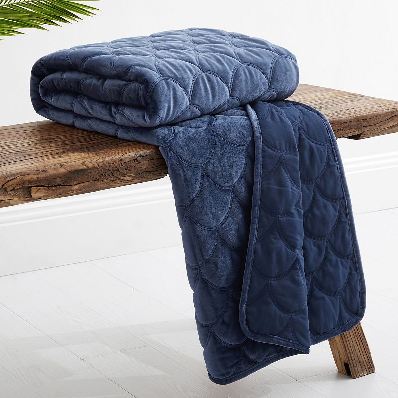 Levtex Home Navy Velvet Quilted Throw