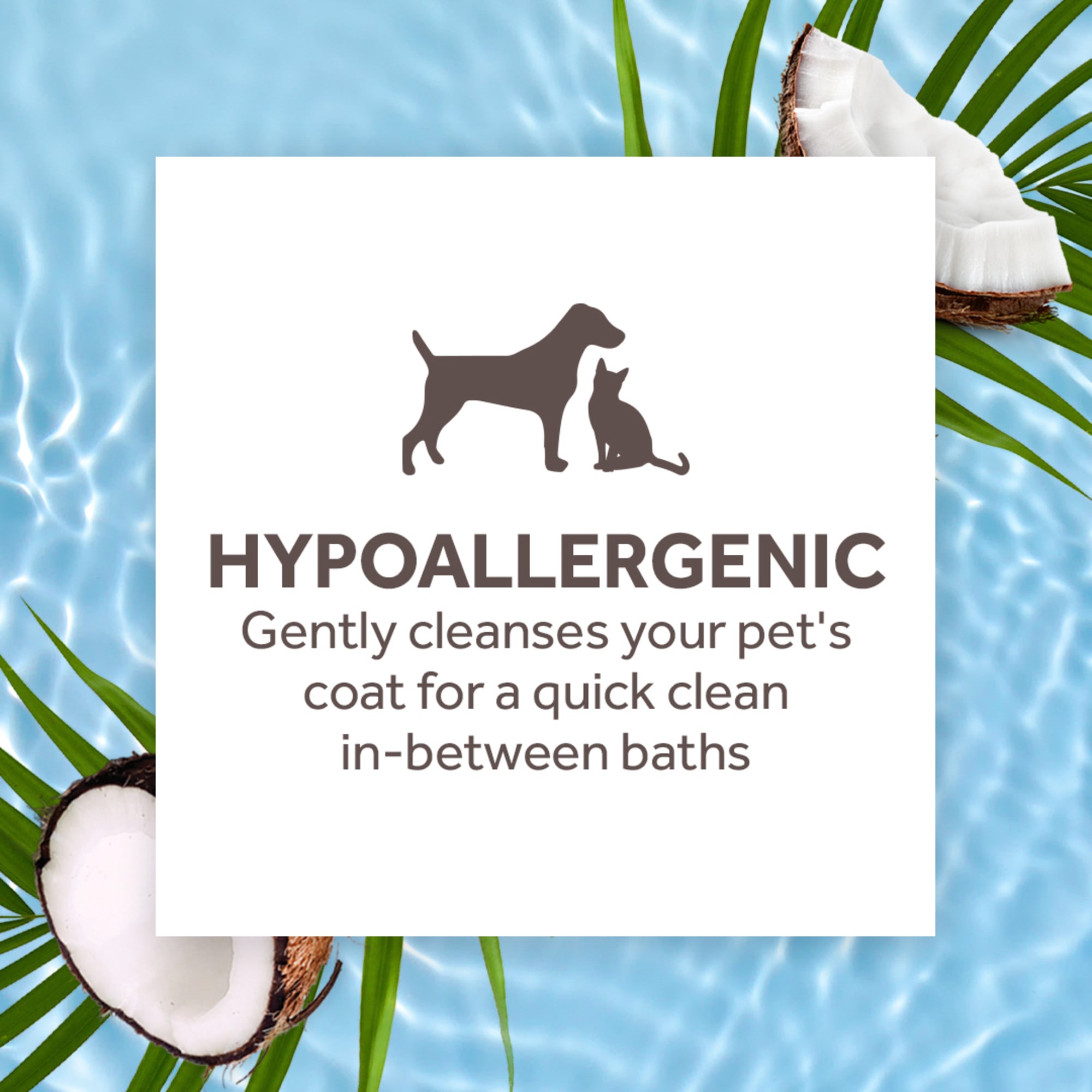 TropiClean Hypo Allergenic Waterless No Rinse Shampoo for Dogs and Cats， 7.4 fl. oz.