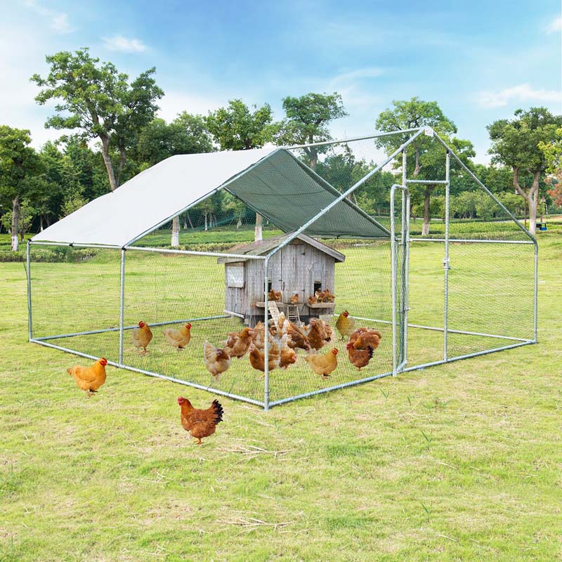 13' x 13' x 6.5' Galvanized Metal Large Walk-in Chicken Coop Cage Runs Hen House with Cover & Lockable Door