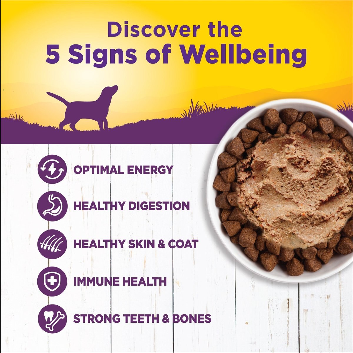 Wellness Complete Health Chicken and Sweet Potato Formula Canned Dog Food