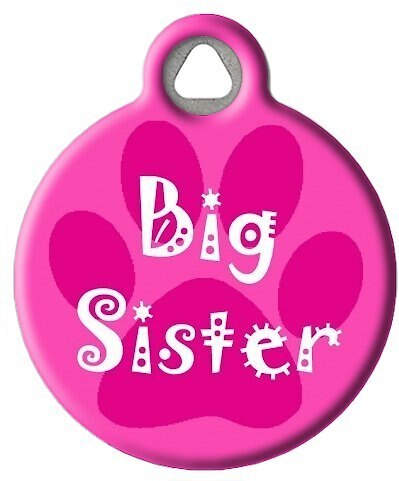 Dog Tag Art Big Sister Personalized Dog and Cat ID Tag