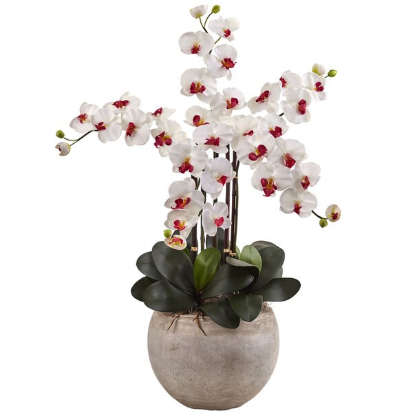 Nearly Natural Multicolored Silk Phalaenopsis Orchid Floral Arrangement