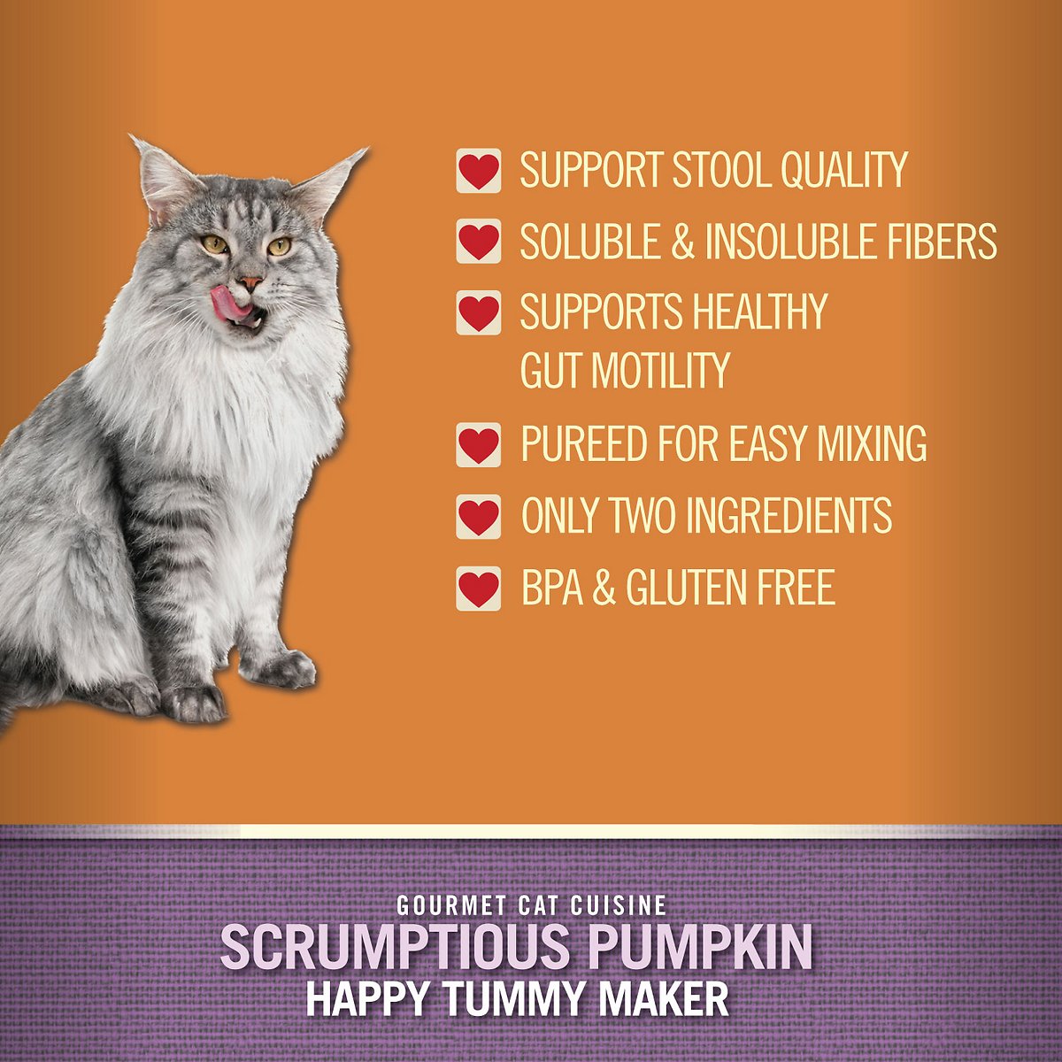 Scrumptious Canned Pumpkin Puree For Dogs  Cats