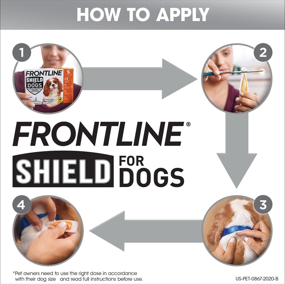 Frontline Shield Flea and Tick Treatment for Large Dogs， 41 - 80 lbs