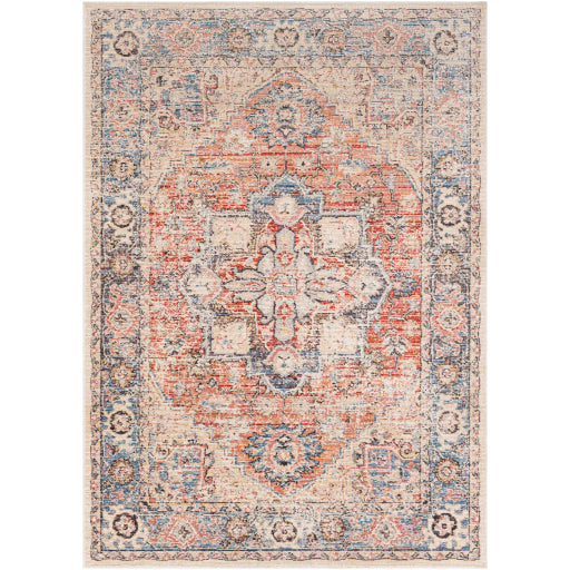 Daytona Beach Traditional Indoor/Outdoor Multi-color Rug