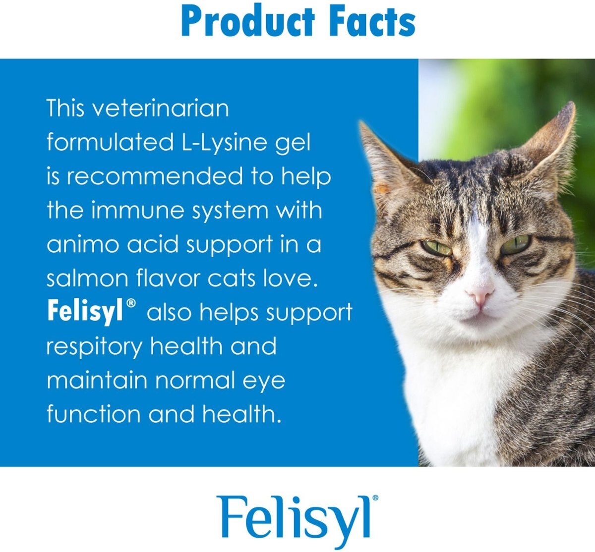 Felisyl Salmon Flavored Gel Immune Supplement for Cats