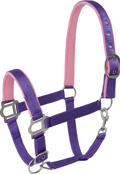 Tough-1 Nylon Padded Halter with Satin Horse Hardware， Purple