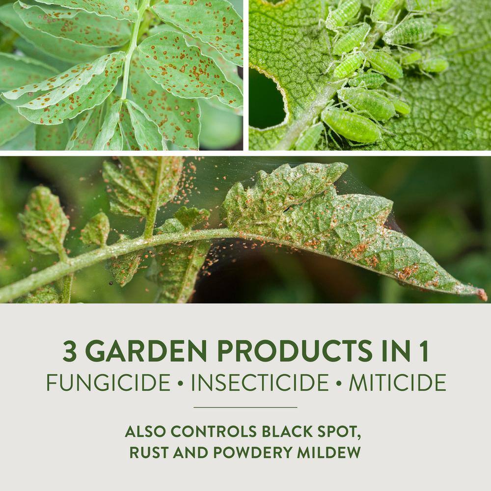 Garden Safe 32 oz. Fungicide Ready to Use HG-93215