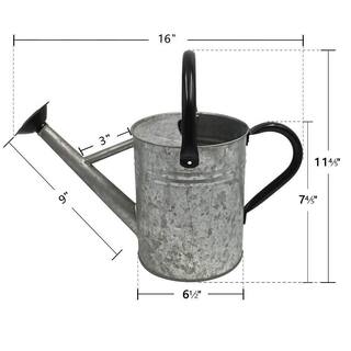 Dyiom Vintage 1 Gal. Rainwater Harvesting System Galvanized Metal Watering Can with Removable Spout B07V9MFQQZ