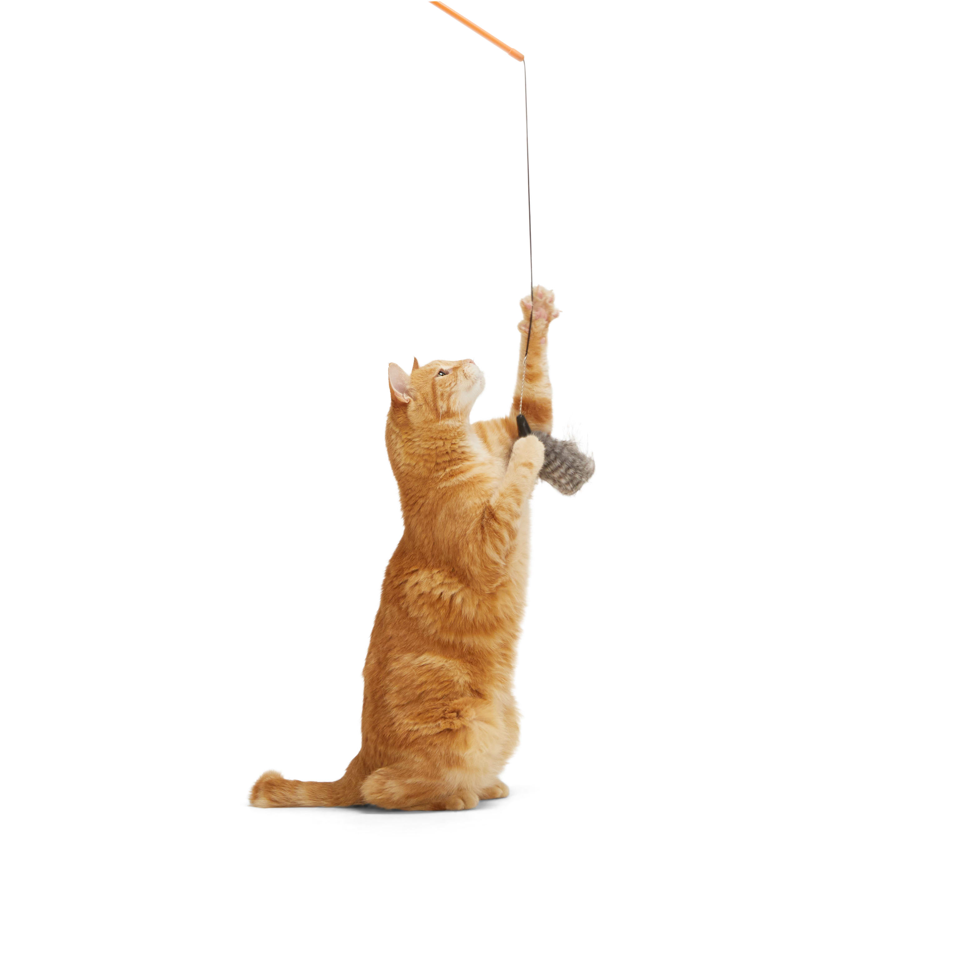 Leaps  Bounds EZ Snap Teaser Tail Cat Toy